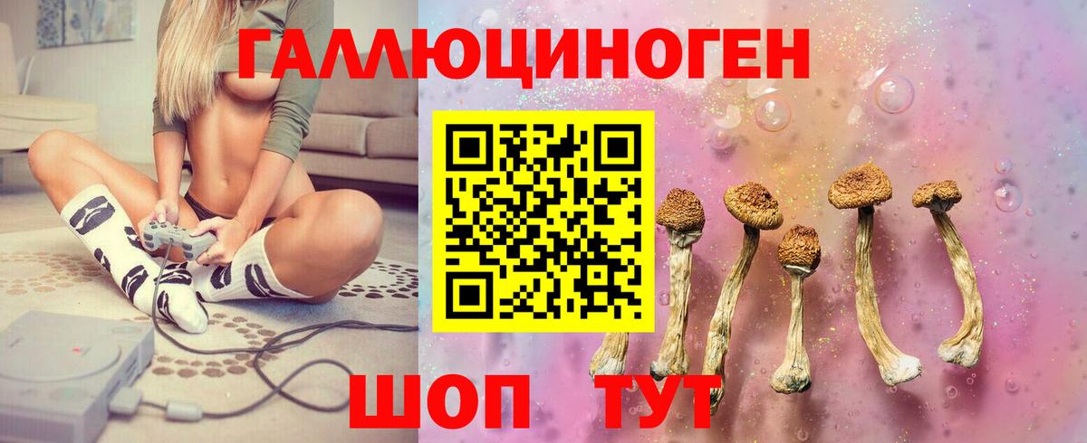 Ефремов  Галлюциногенные грибы Magic Shrooms  Вход с VPN 