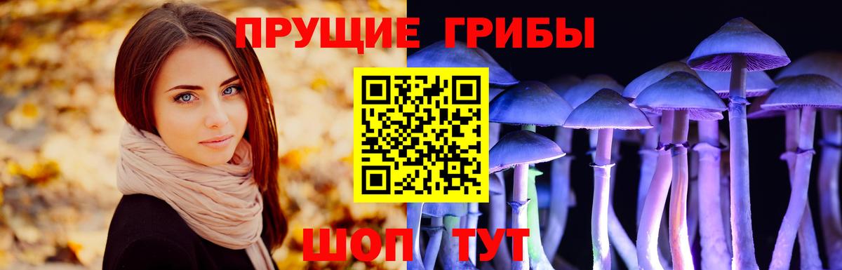 Псилоцибиновые грибы Psilocybine cubensis Ефремов